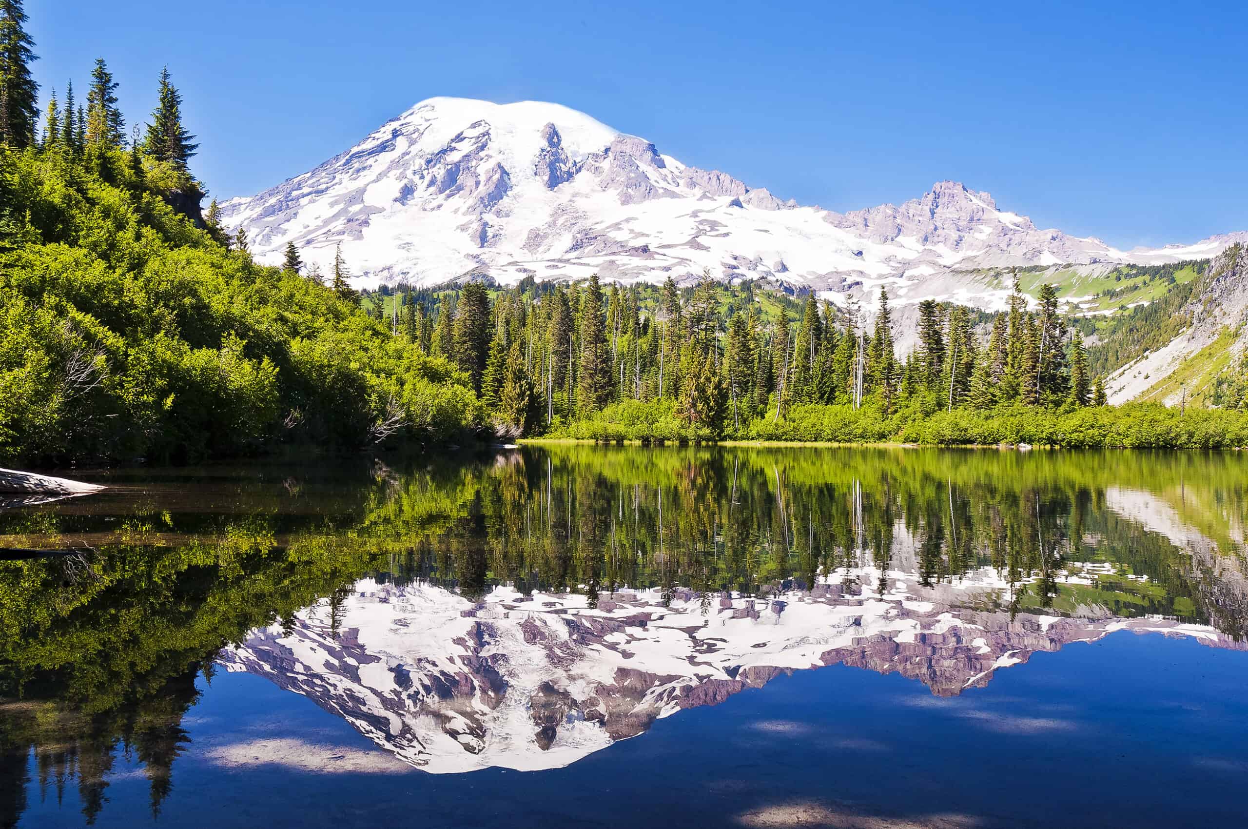 Mount-Rainier-National-Park Stato di Washington