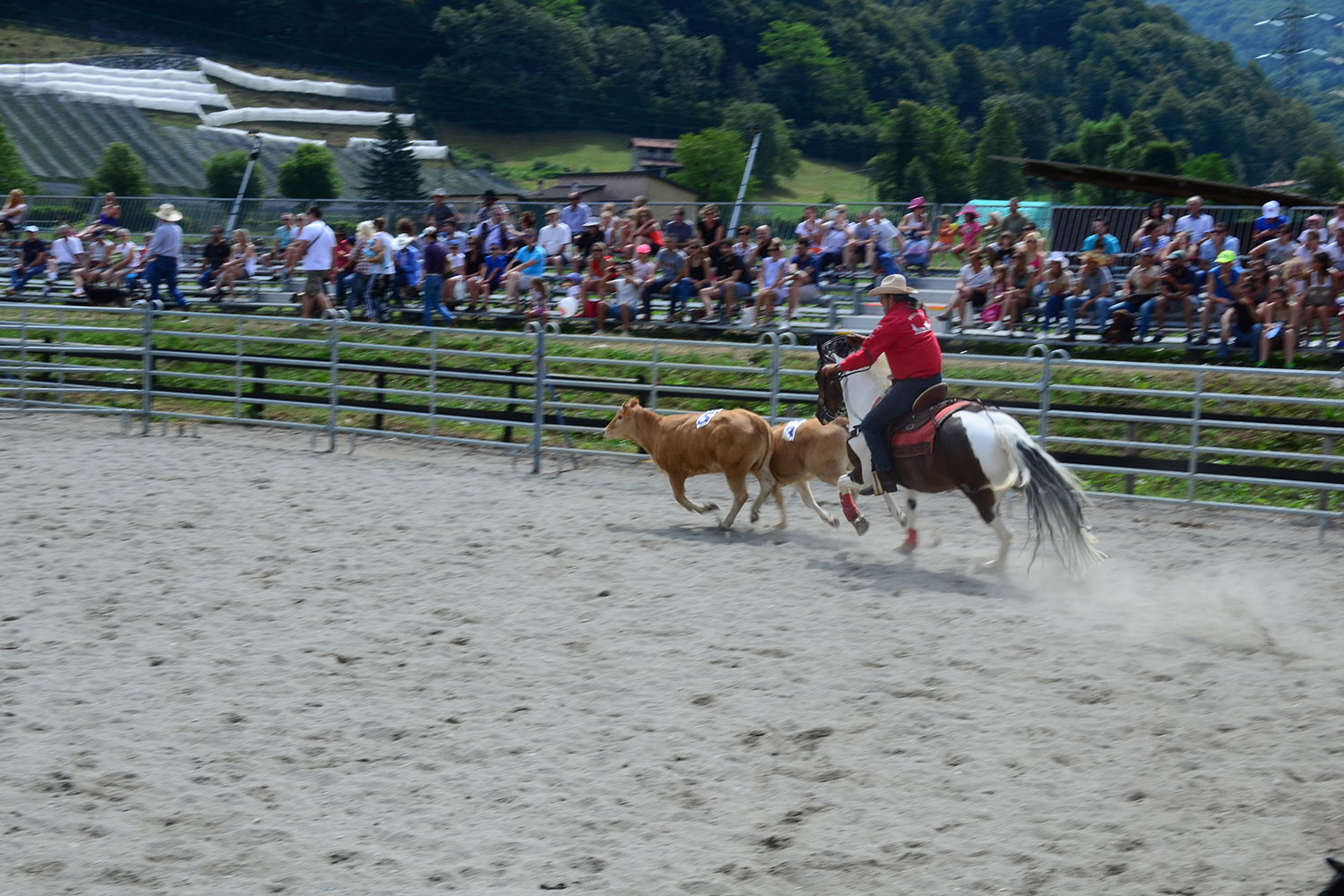 VALSASSINA COUNTRY FESTIVAL