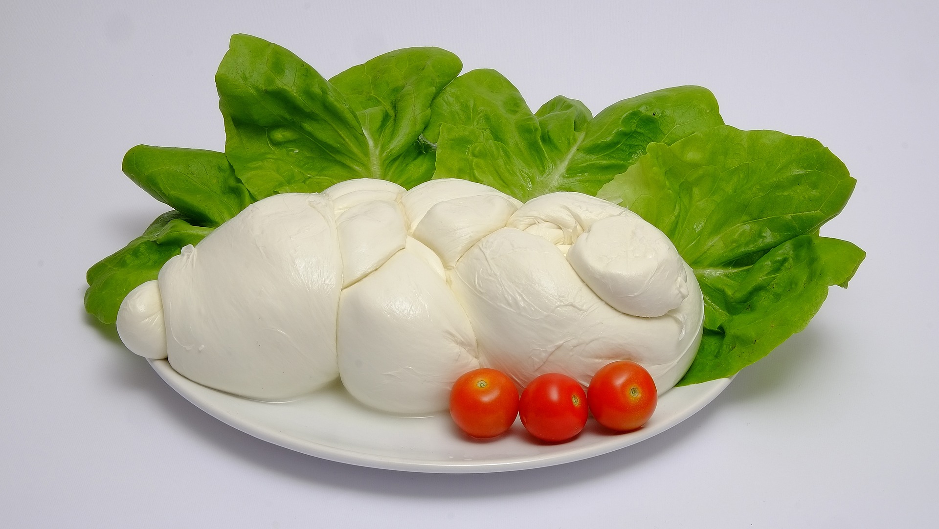 mozzarella bufala