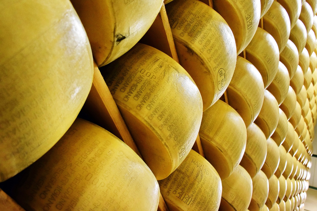 parmigiano reggiano