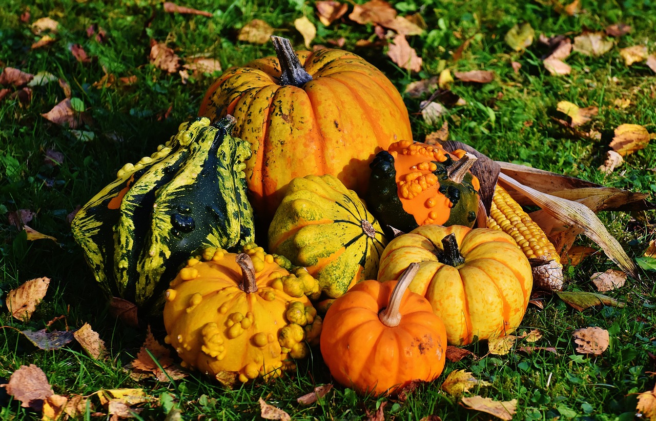 sagre della zucca