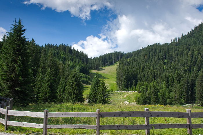 vacanza in val di sole