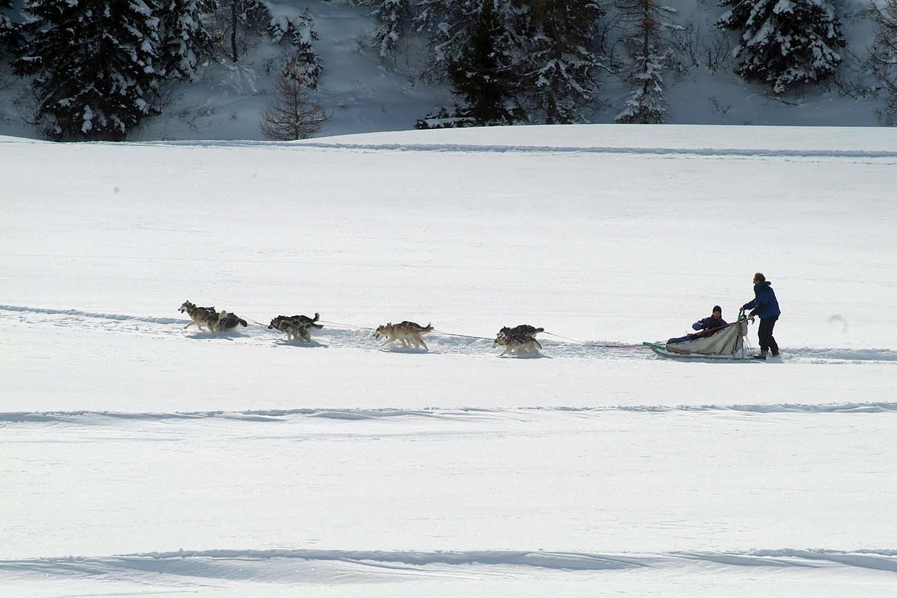 montagne-bresciane-scuola-di-sleddog-luoghi-e-viaggi-il-viaggiatore-magazine