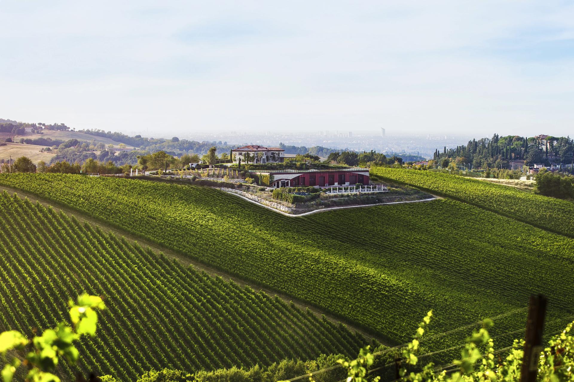 vino-emilia-romagna-enogastronomia-e-dintorni-il-viaggiatore-magazine